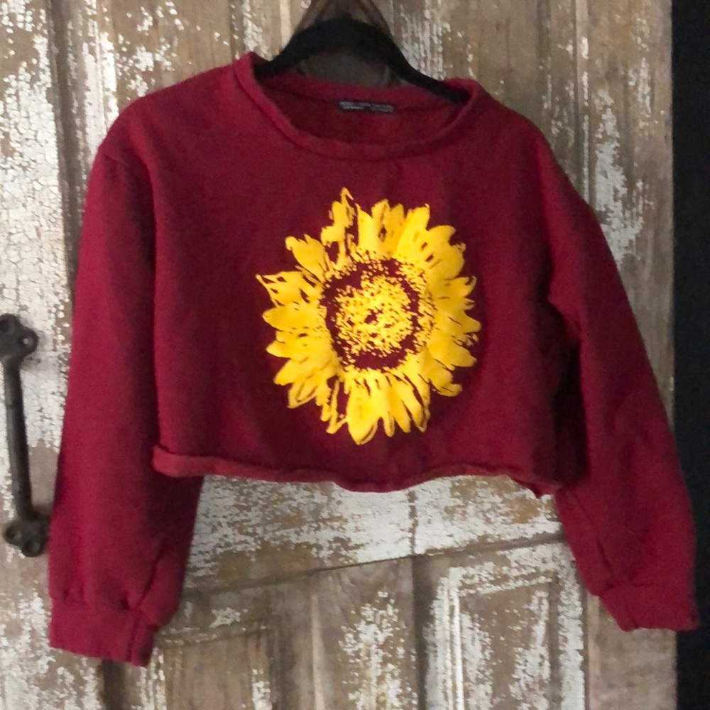 Super cute cropped sweatshirt